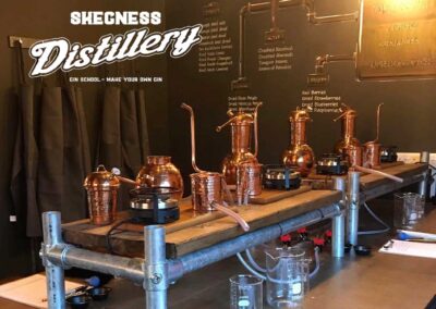 Gin School